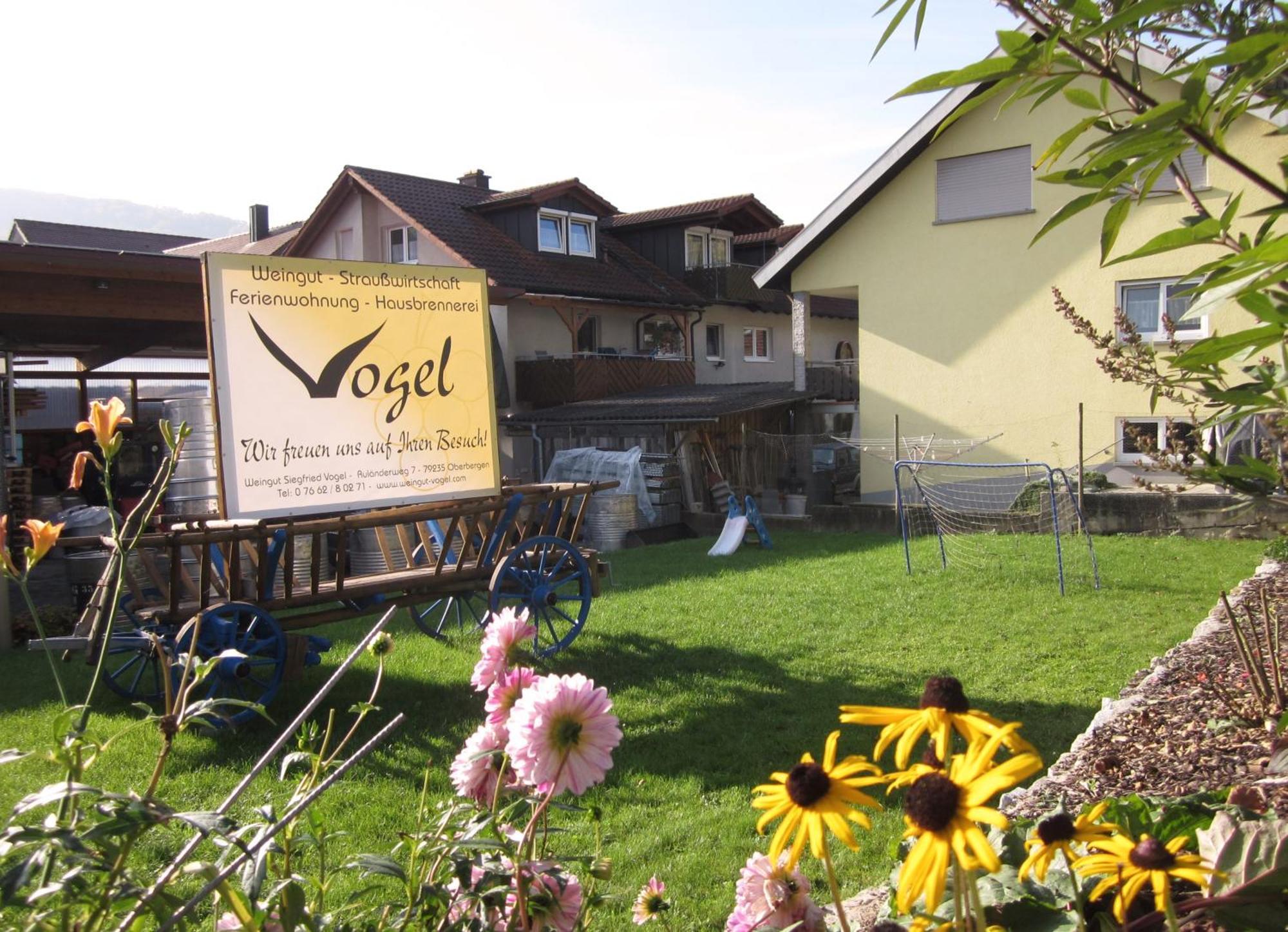 Weingut & Strausswirtschaft Vogel Apartman Vogtsburg Kültér fotó