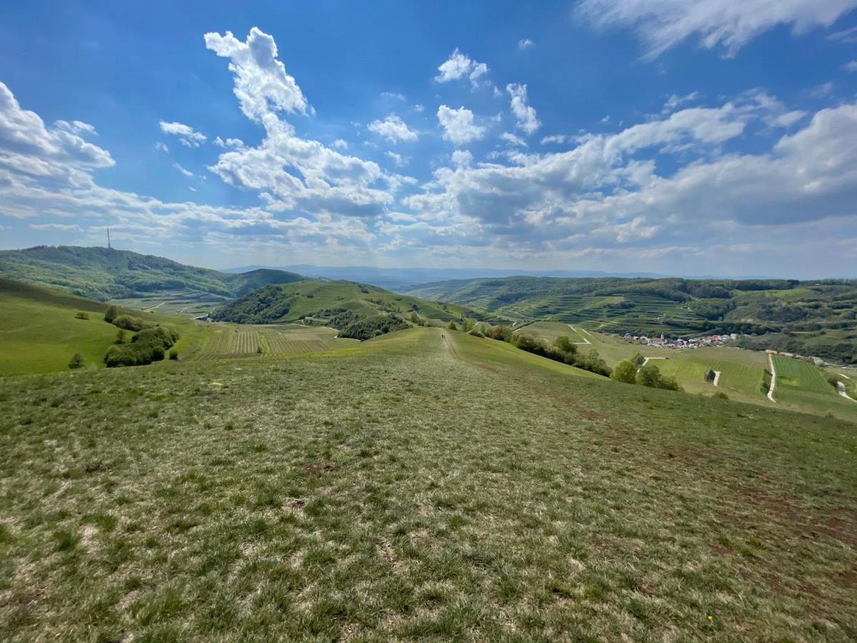 Weingut & Strausswirtschaft Vogel Apartman Vogtsburg Kültér fotó