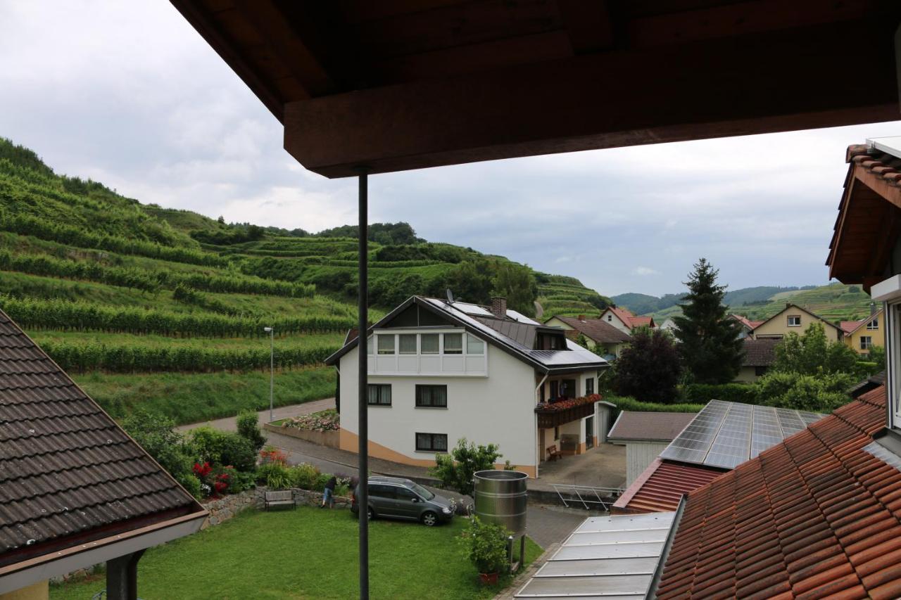 Weingut & Strausswirtschaft Vogel Apartman Vogtsburg Kültér fotó