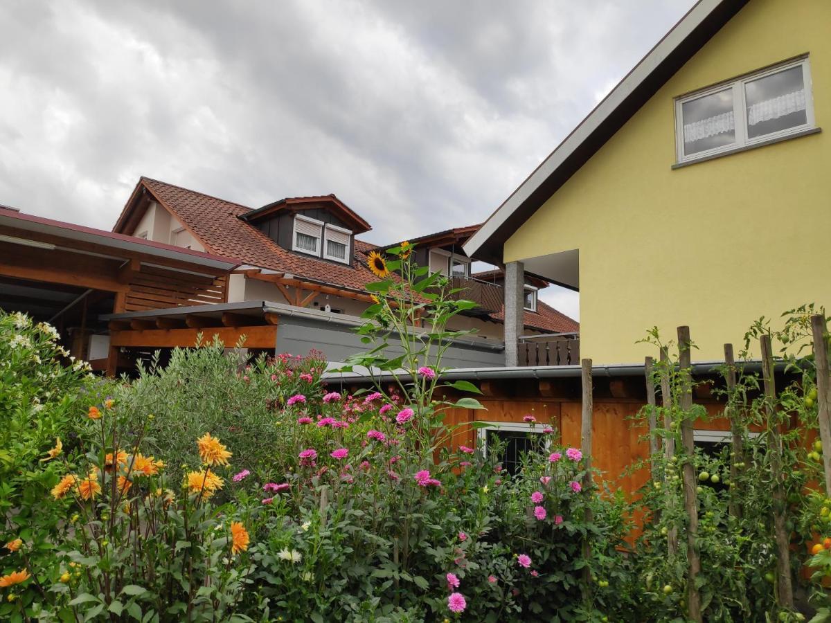 Weingut & Strausswirtschaft Vogel Apartman Vogtsburg Kültér fotó
