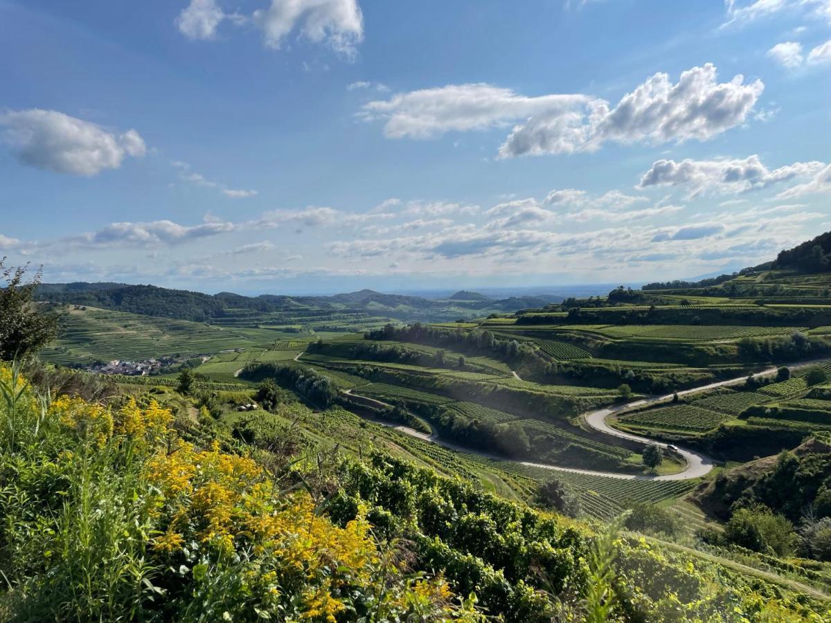 Weingut & Strausswirtschaft Vogel Apartman Vogtsburg Kültér fotó
