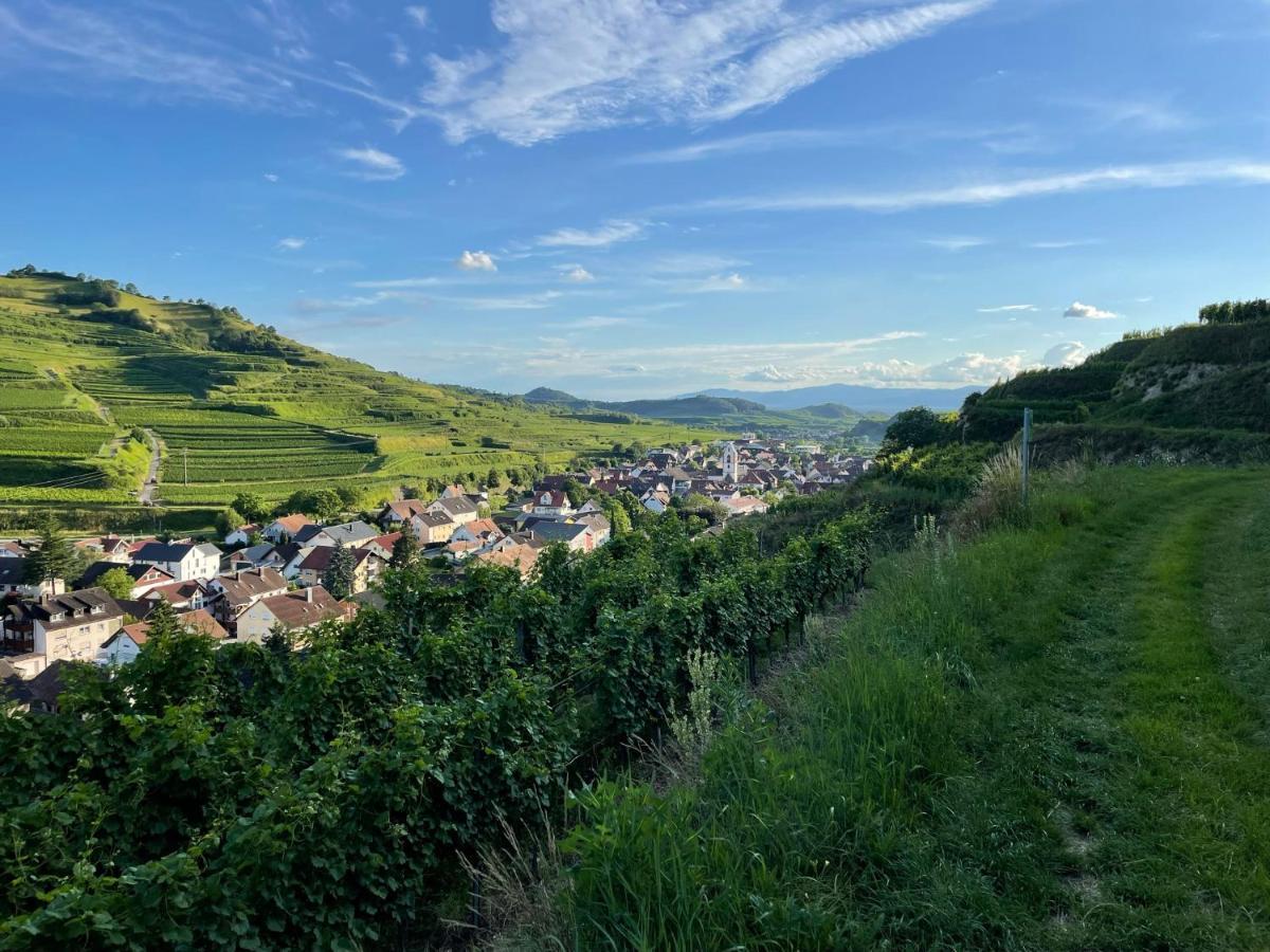 Weingut & Strausswirtschaft Vogel Apartman Vogtsburg Kültér fotó