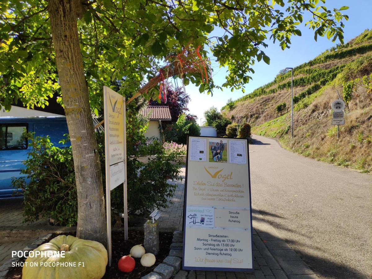 Weingut & Strausswirtschaft Vogel Apartman Vogtsburg Kültér fotó