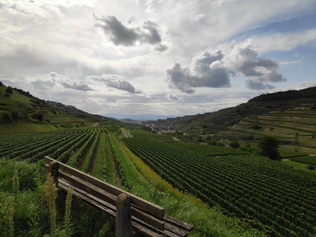 Weingut & Strausswirtschaft Vogel Apartman Vogtsburg Kültér fotó