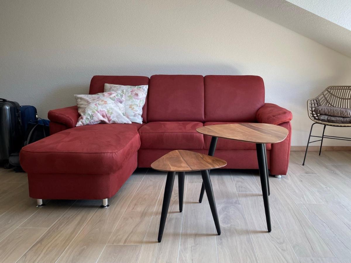 Weingut & Strausswirtschaft Vogel Apartman Vogtsburg Kültér fotó