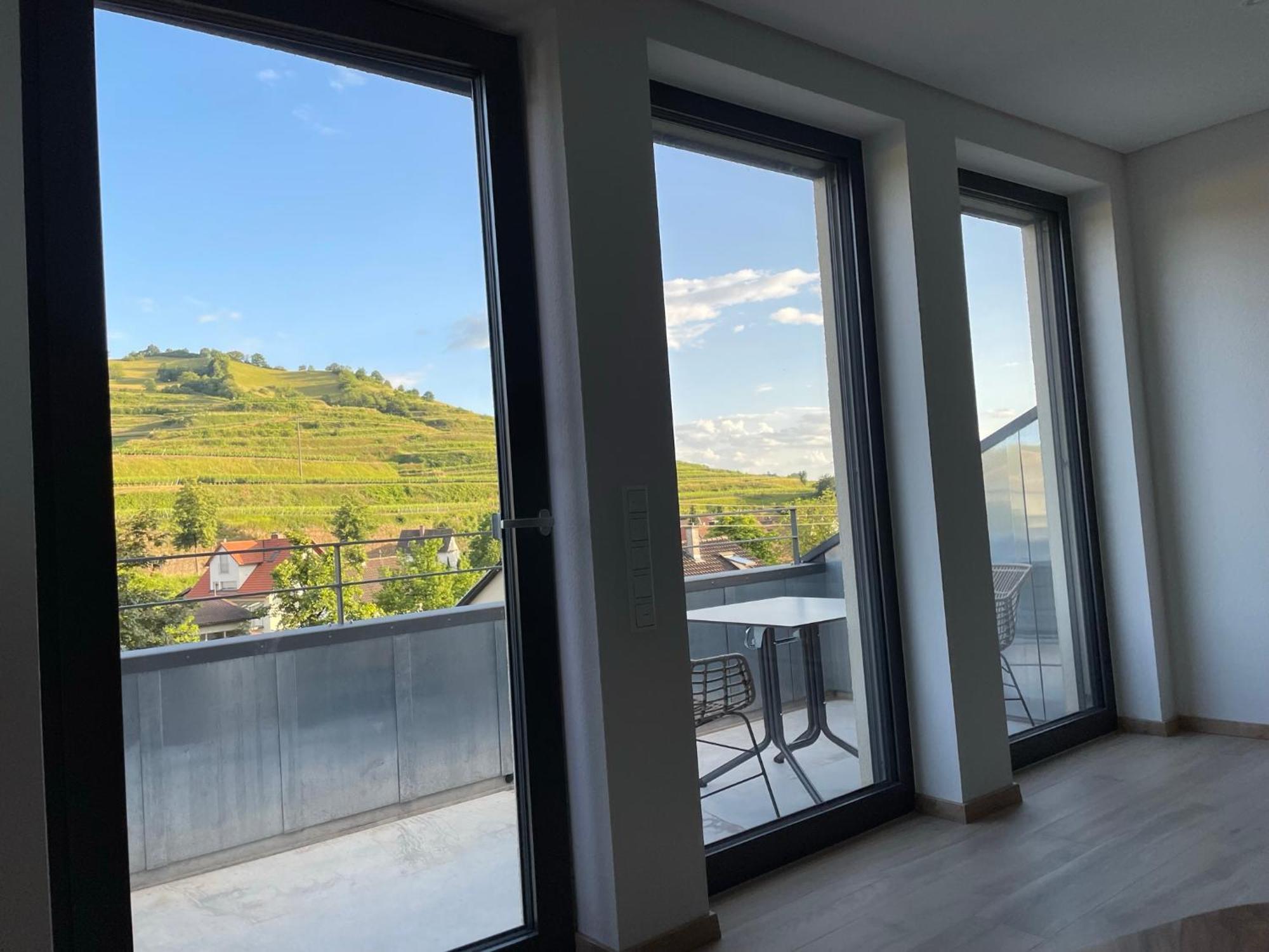 Weingut & Strausswirtschaft Vogel Apartman Vogtsburg Kültér fotó