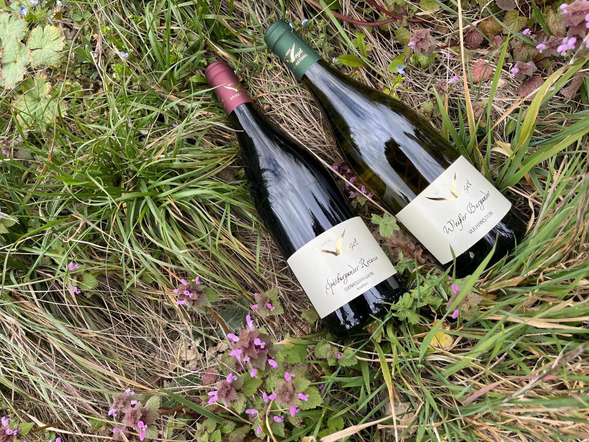 Weingut & Strausswirtschaft Vogel Apartman Vogtsburg Kültér fotó