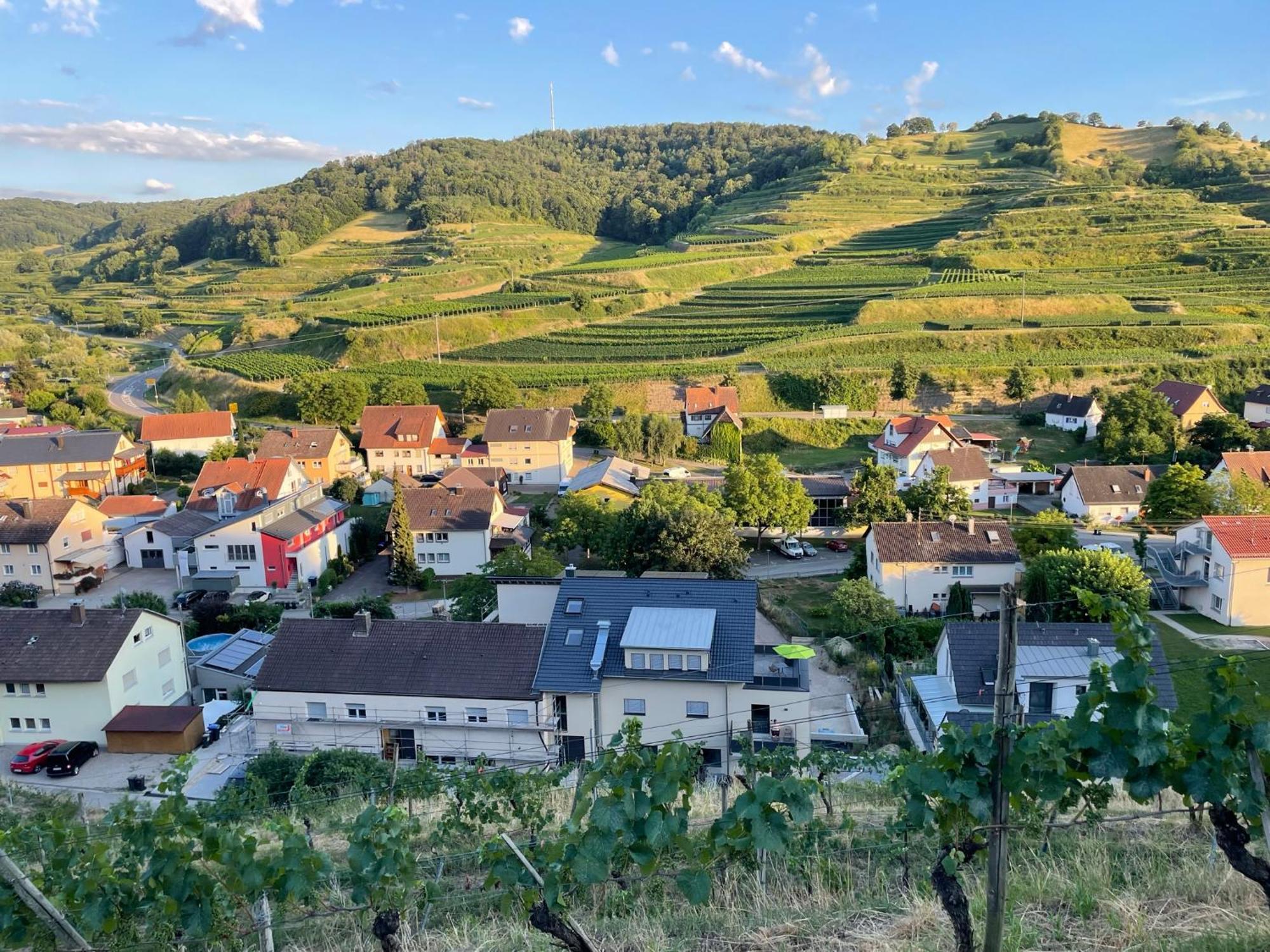 Weingut & Strausswirtschaft Vogel Apartman Vogtsburg Kültér fotó